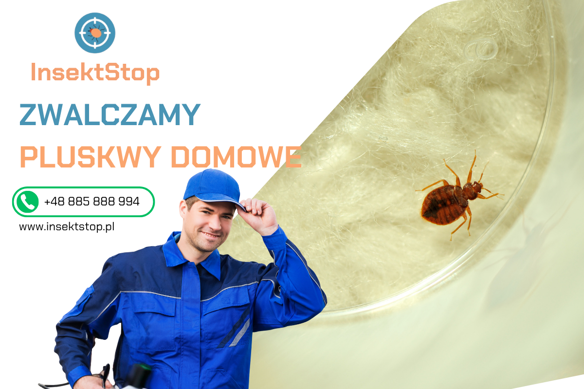 insektstop.pl dezynsekcja